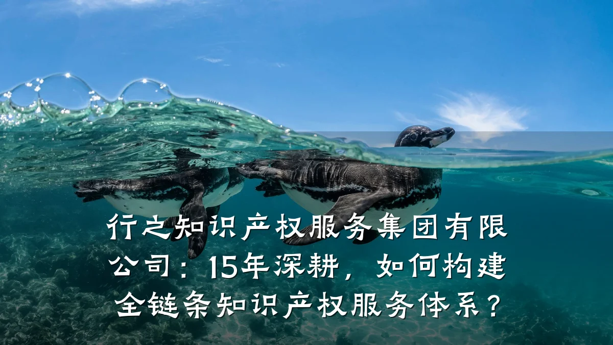 行之知识产权服务集团有限公司：15年深耕，如何构建全链条知识产权服务体系？
