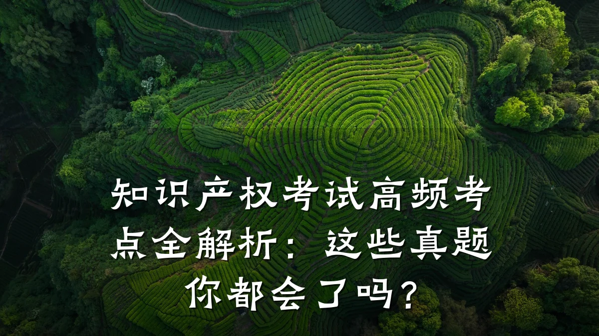 知识产权考试高频考点全解析：这些真题你都会了吗？