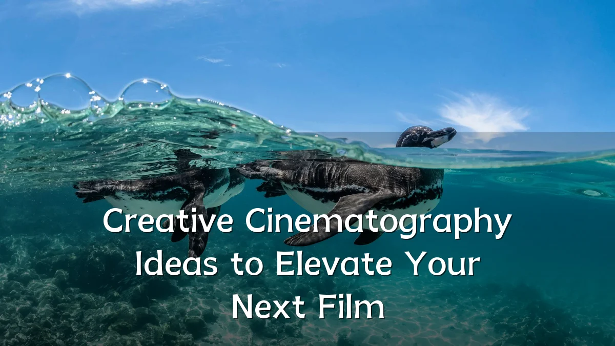 Creative Cinematography Ideas to Elevate Your Next Film