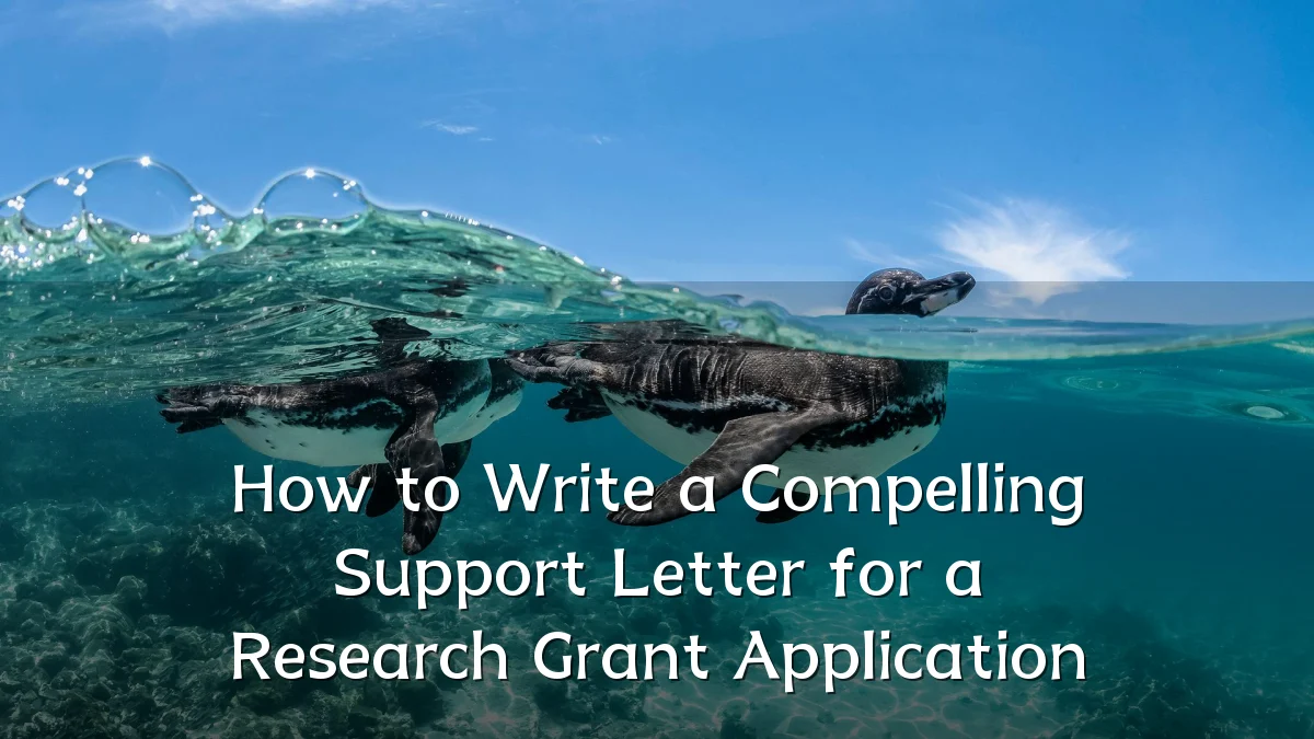 How to Write a Compelling Support Letter for a Research Grant Application