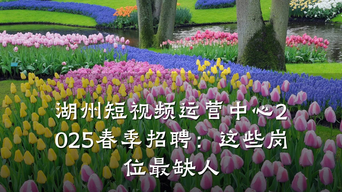 湖州短视频运营中心2025春季招聘:这些岗位最缺人