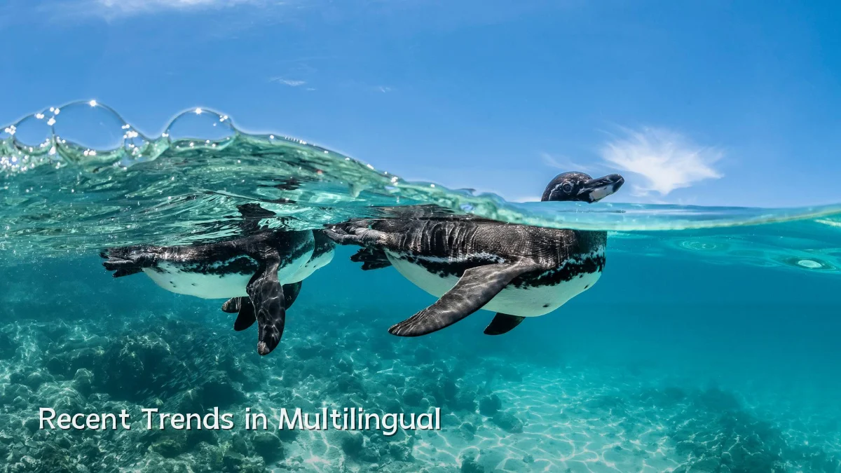 Recent Trends in Multilingual