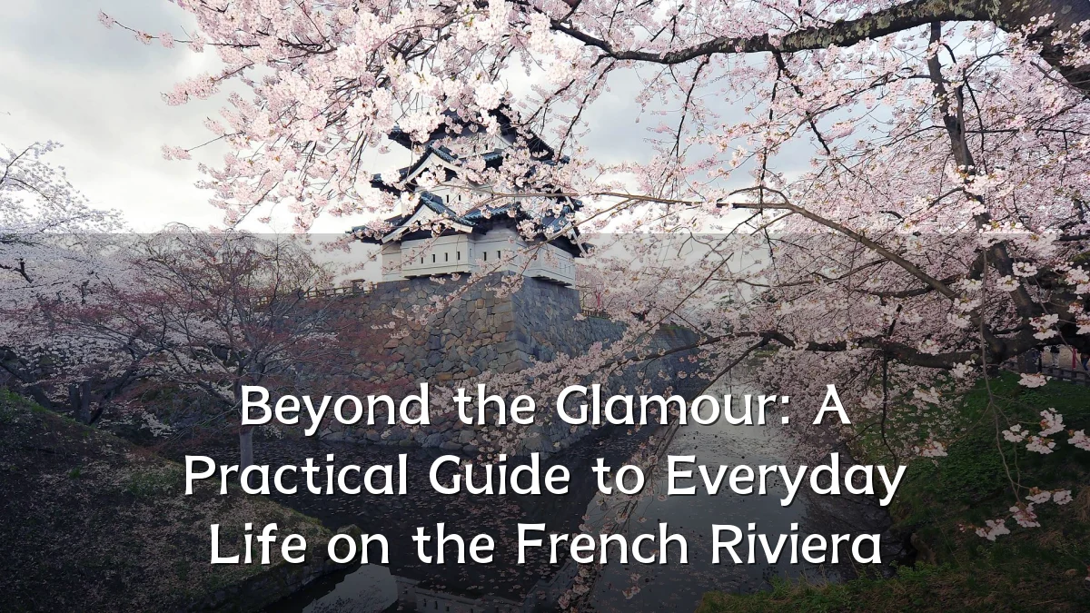 Beyond the Glamour: A Practical Guide to Everyday Life on the French Riviera