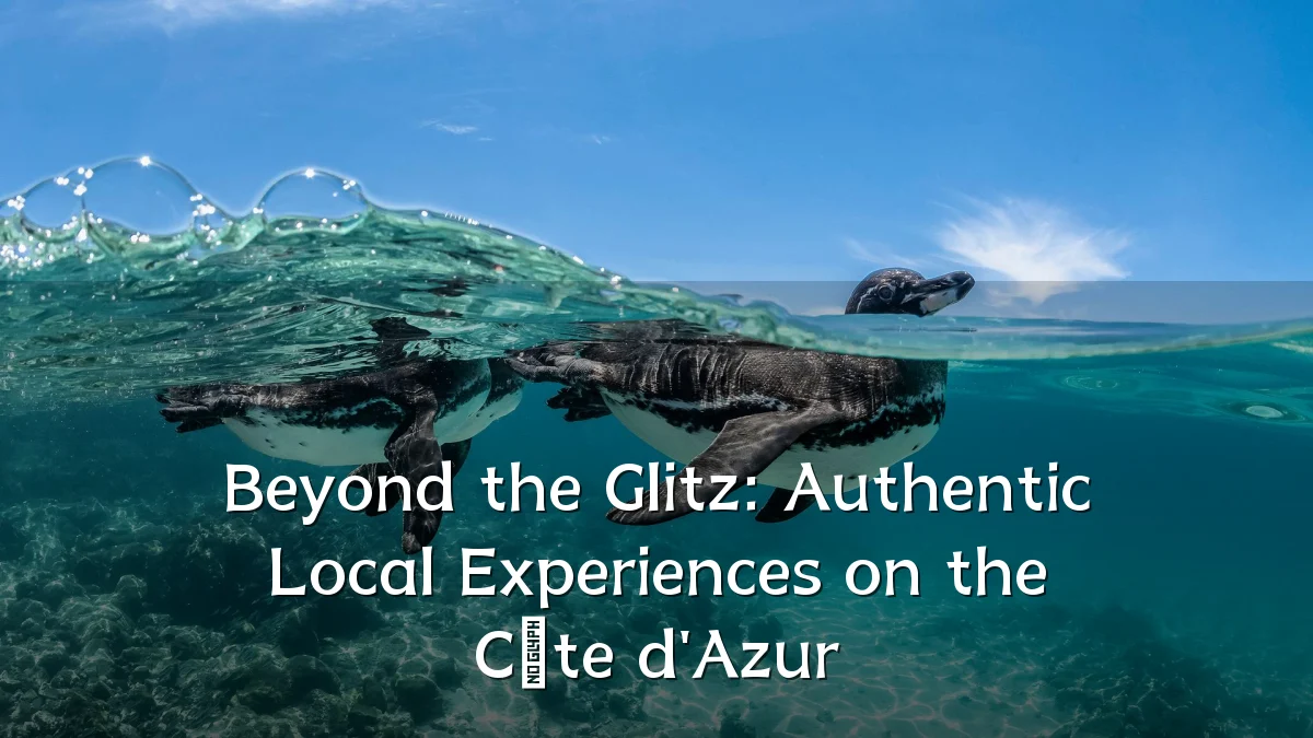 Beyond the Glitz: Authentic Local Experiences on the Côte d'Azur