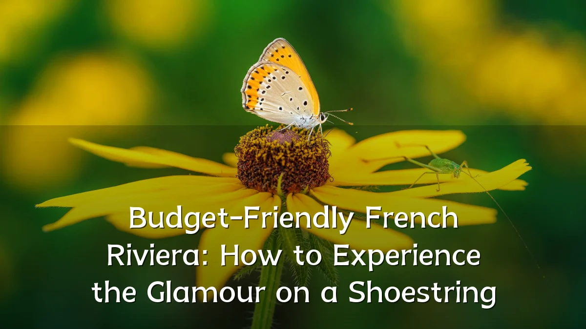 Budget-Friendly French Riviera: How to Experience the Glamour on a Shoestring
