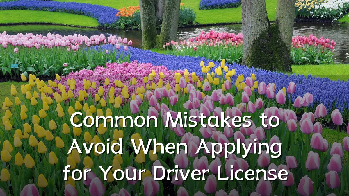 Common Mistakes to Avoid When Applying for Your Driver License
