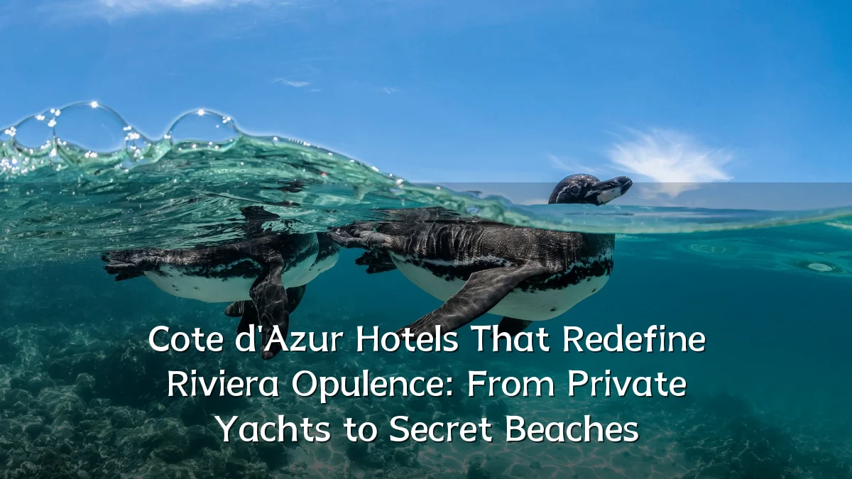 Cote d'Azur Hotels That Redefine Riviera Opulence: From Private Yachts to Secret Beaches