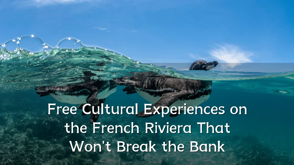 Free Cultural Experiences on the French Riviera That Won't Break the Bank
