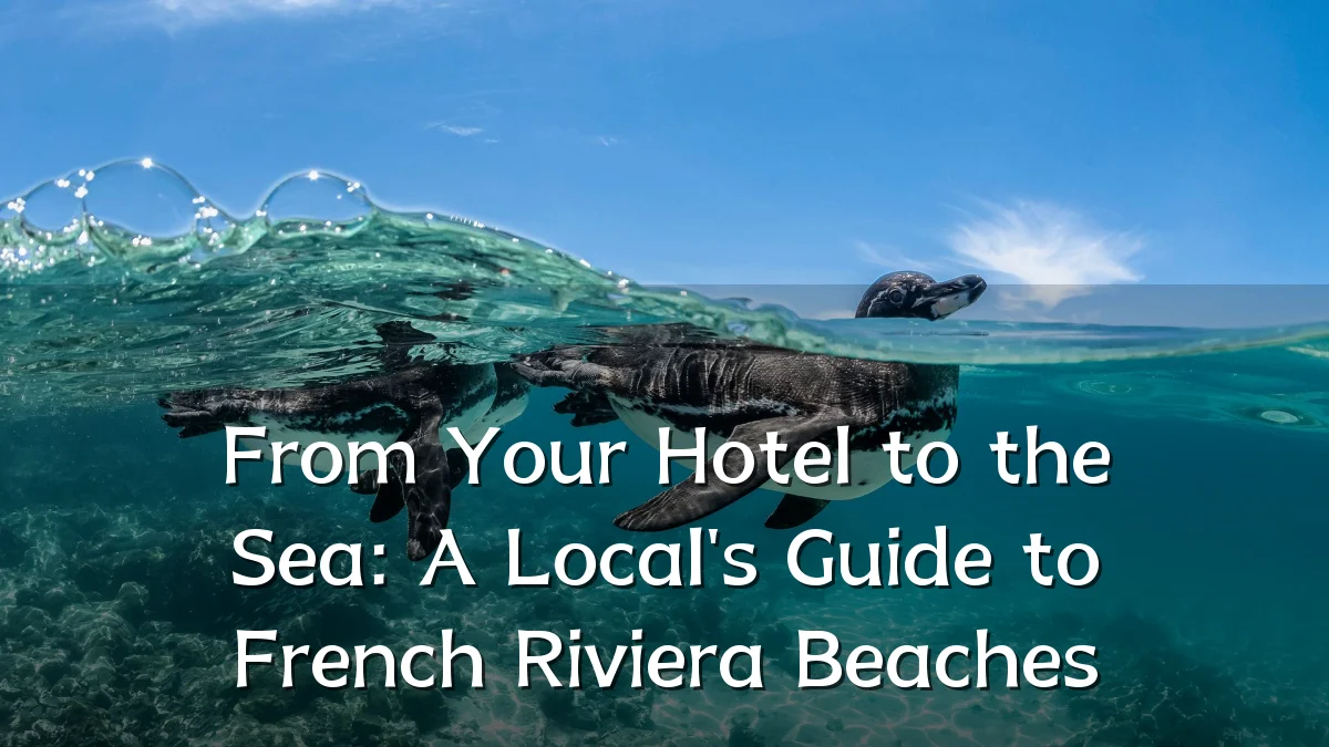 From Your Hotel to the Sea: A Local's Guide to French Riviera Beaches