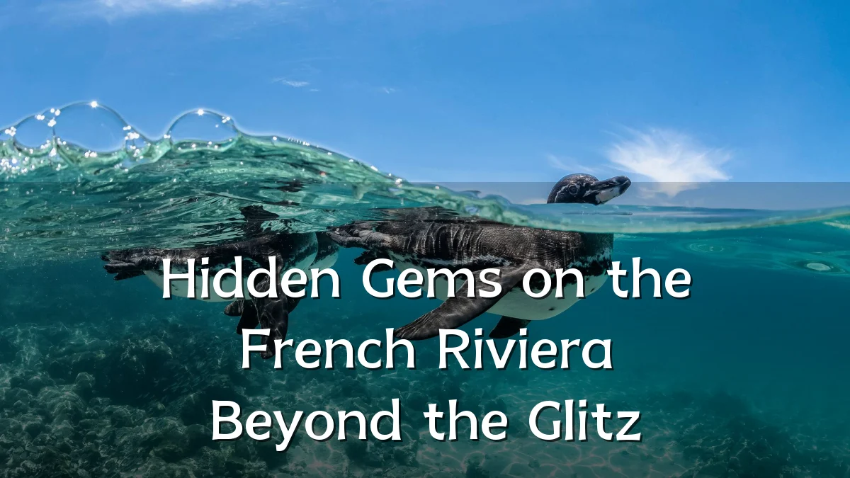 Hidden Gems on the French Riviera Beyond the Glitz