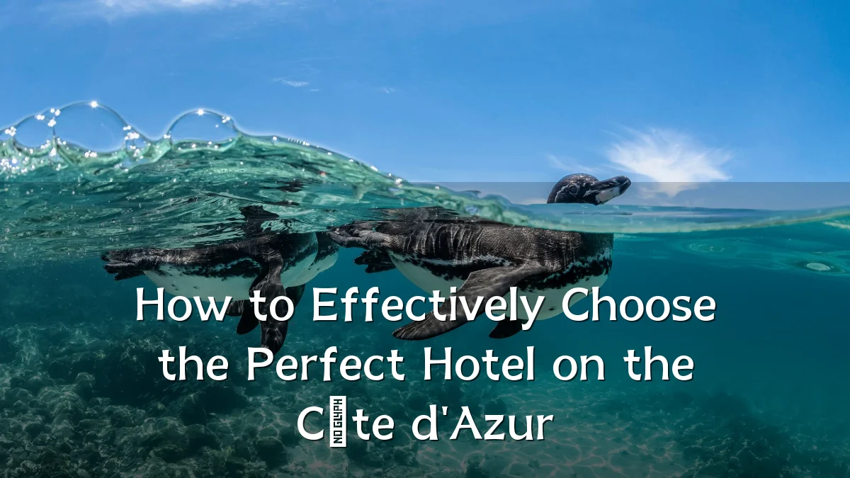 How to Effectively Choose the Perfect Hotel on the Côte d'Azur