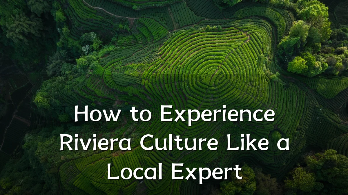 How to Experience Riviera Culture Like a Local Expert