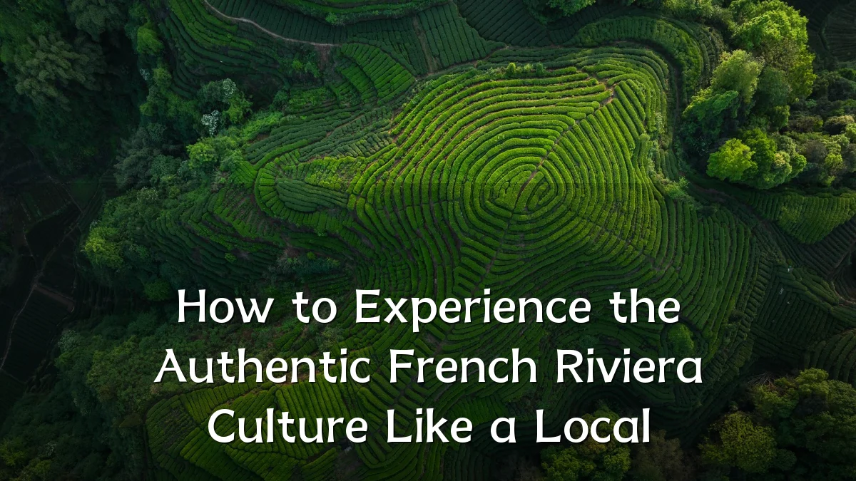 How to Experience the Authentic French Riviera Culture Like a Local