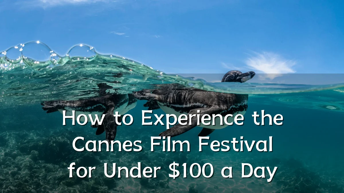 How to Experience the Cannes Film Festival for Under $100 a Day