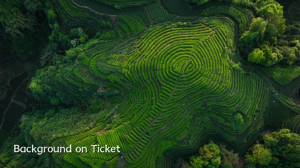 Background on Ticket
