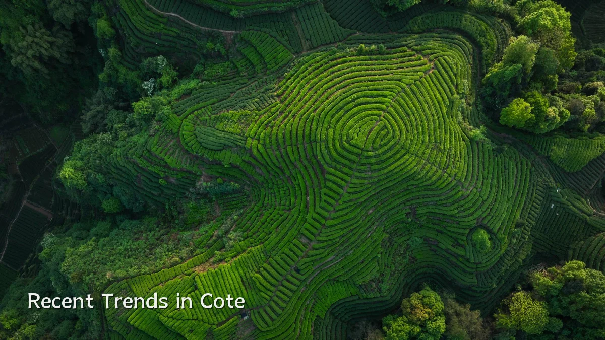 Recent Trends in Cote