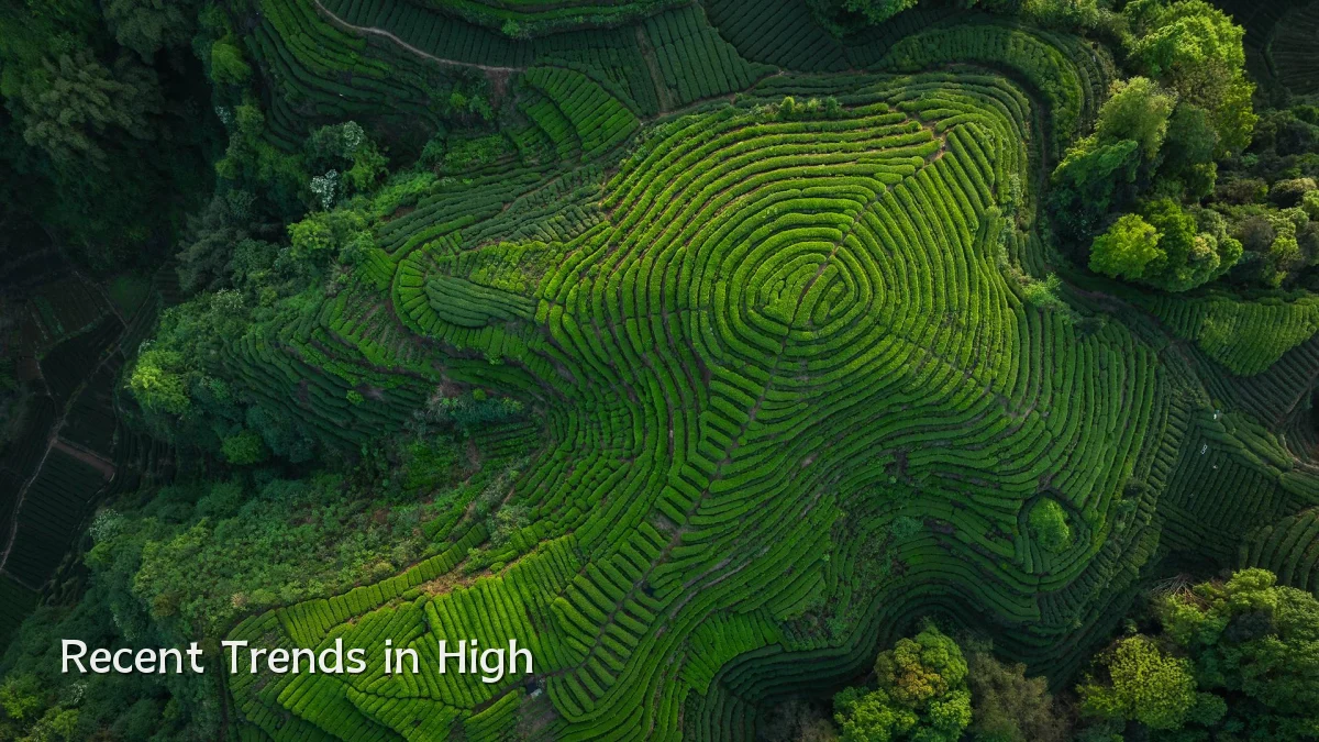 Recent Trends in High