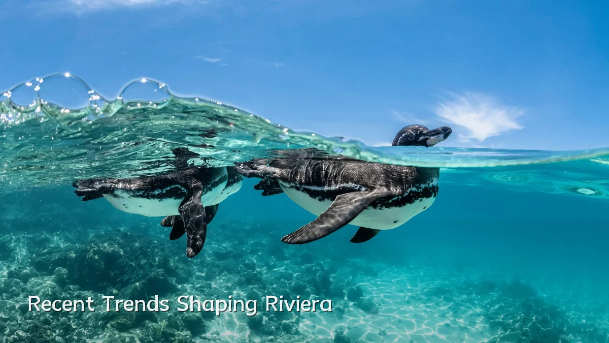 Recent Trends Shaping Riviera