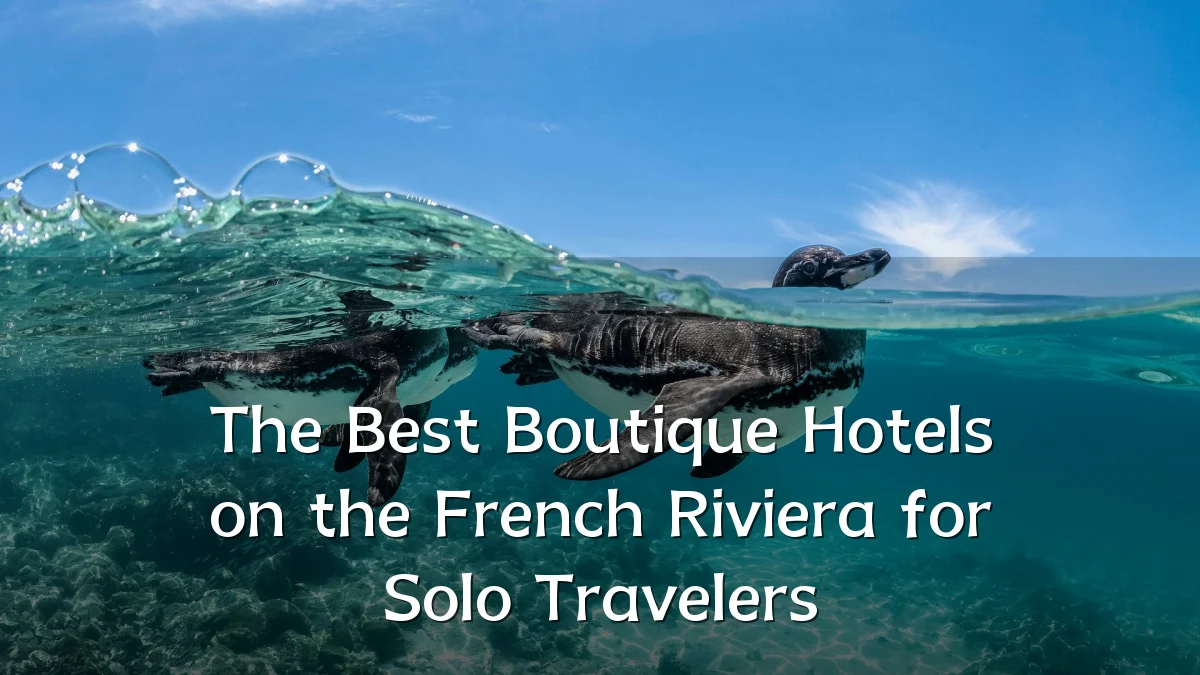The Best Boutique Hotels on the French Riviera for Solo Travelers