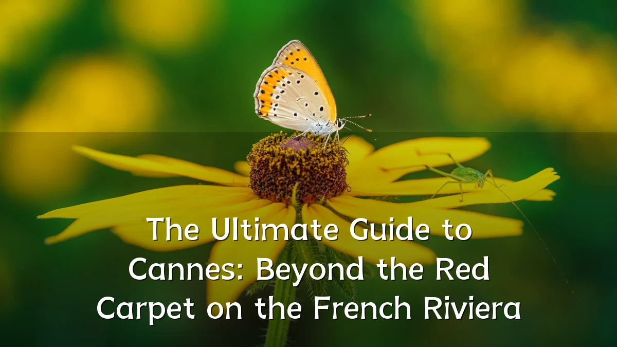 The Ultimate Guide to Cannes: Beyond the Red Carpet on the French Riviera