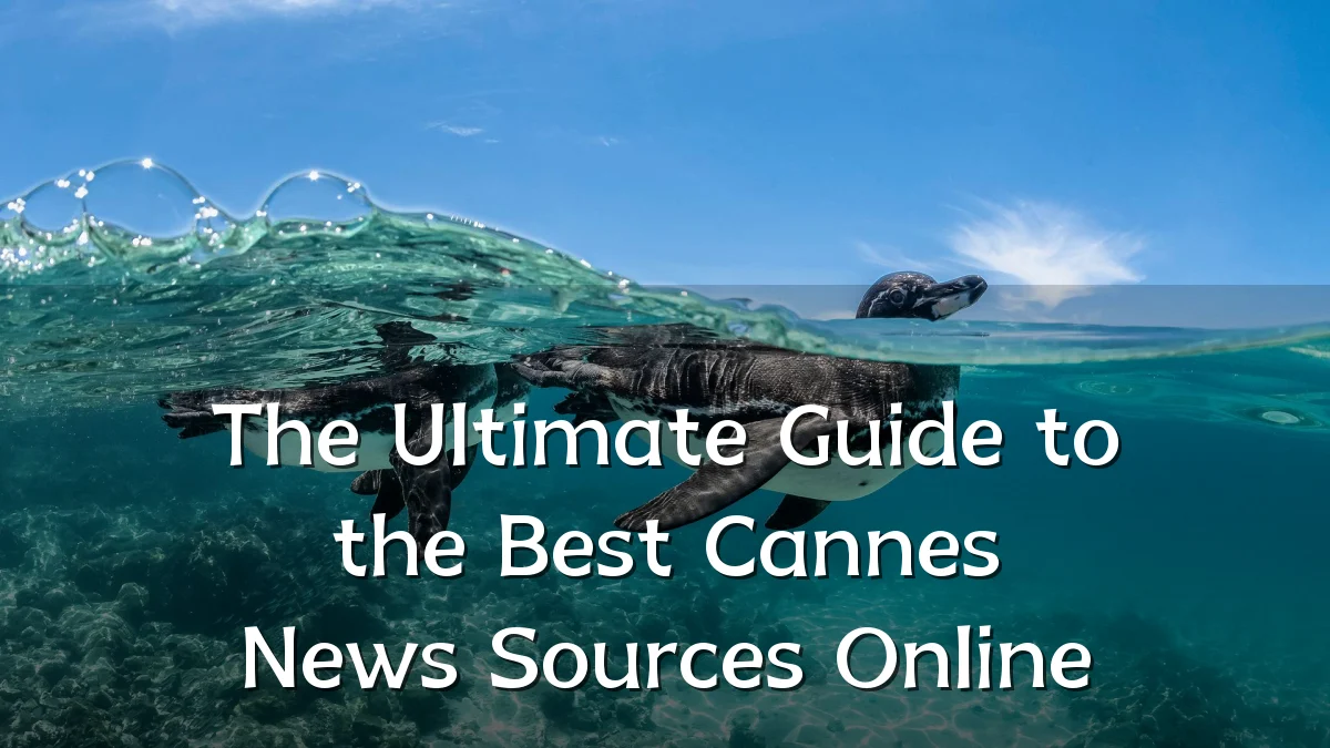 The Ultimate Guide to the Best Cannes News Sources Online
