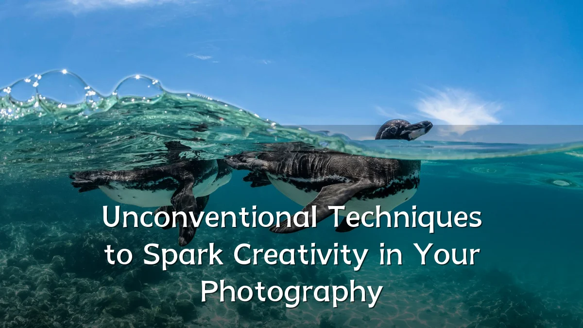 Unconventional Techniques to Spark Creativity in Your Photography