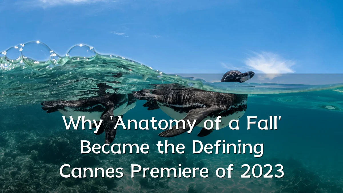 Why 'Anatomy of a Fall' Became the Defining Cannes Premiere of 2023