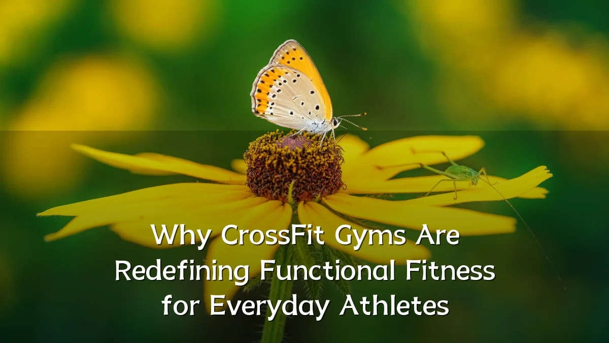 Why CrossFit Gyms Are Redefining Functional Fitness for Everyday Athletes