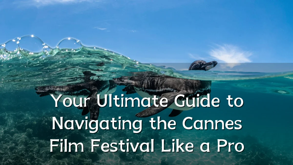 Your Ultimate Guide to Navigating the Cannes Film Festival Like a Pro