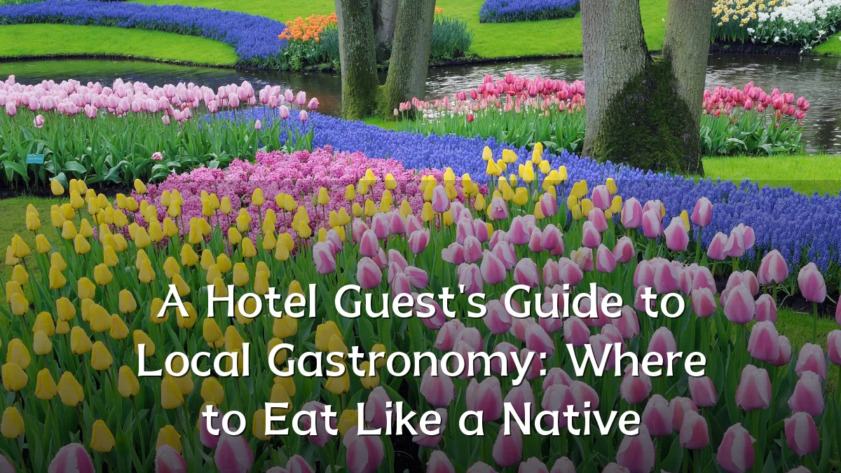 A Hotel Guest's Guide to Local Gastronomy: Where to Eat Like a Native