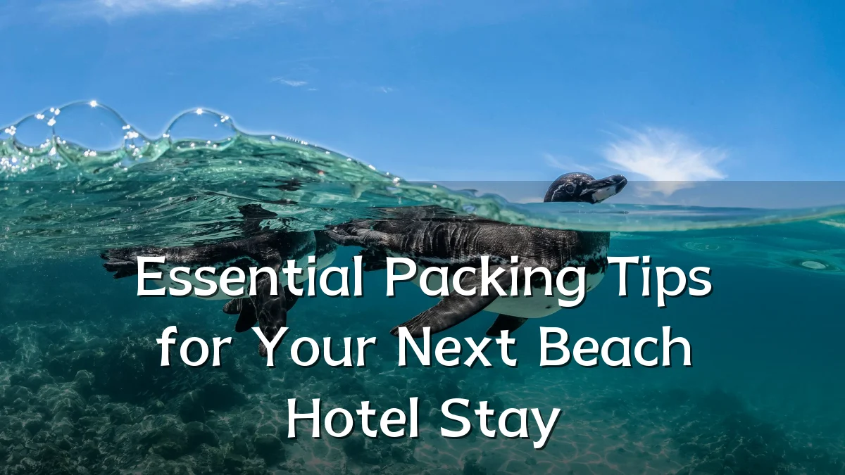 Essential Packing Tips for Your Next Beach Hotel Stay
