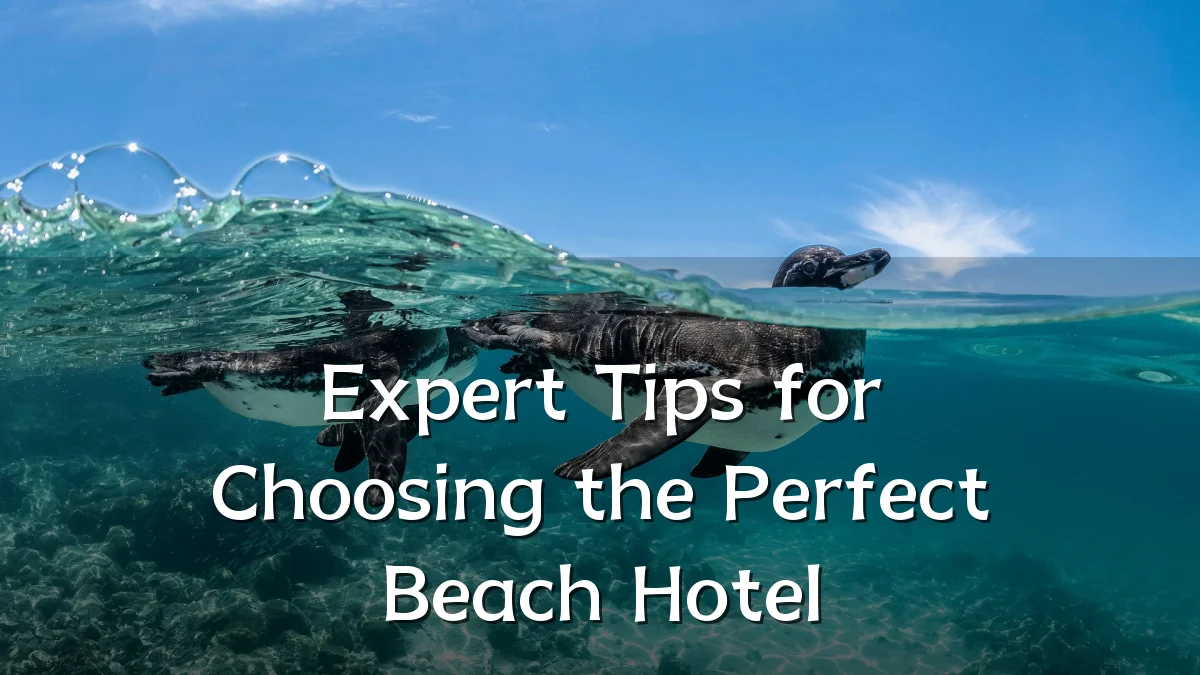 Expert Tips for Choosing the Perfect Beach Hotel