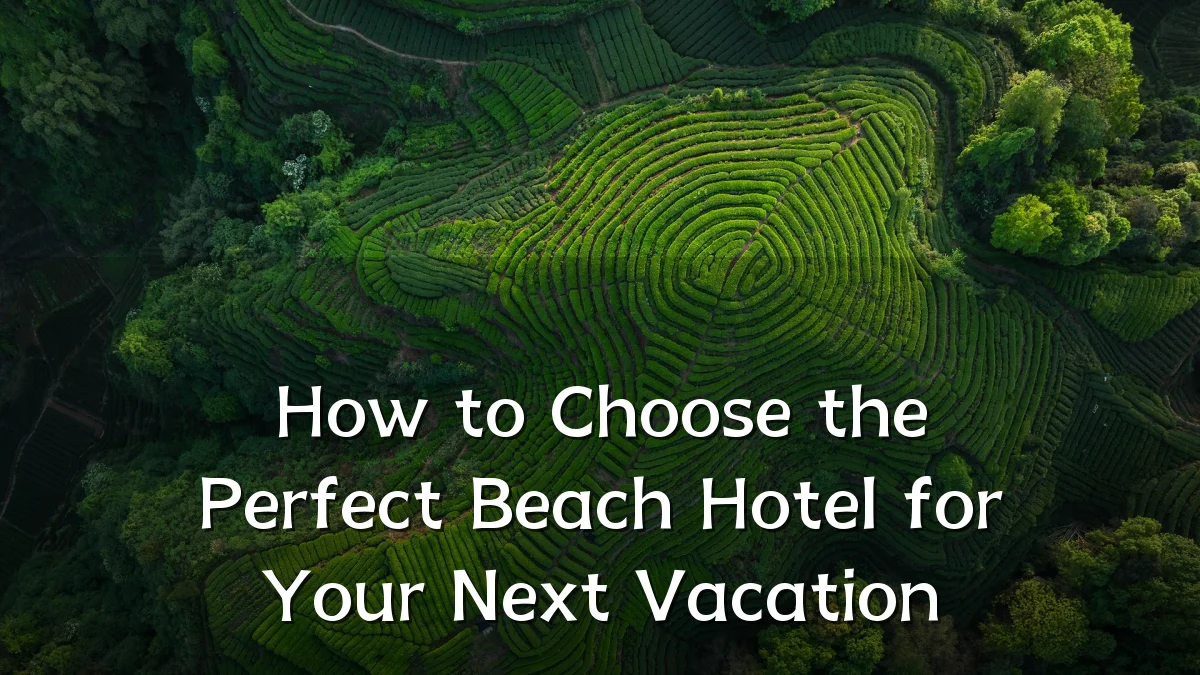 How to Choose the Perfect Beach Hotel for Your Next Vacation