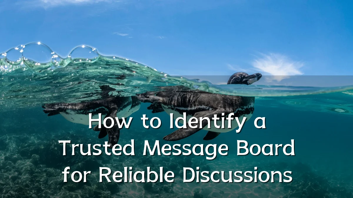 How to Identify a Trusted Message Board for Reliable Discussions
