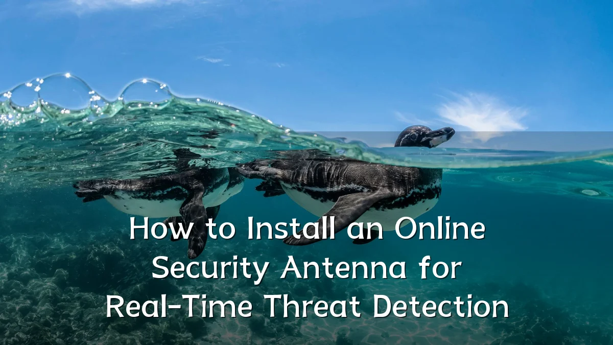 How to Install an Online Security Antenna for Real-Time Threat Detection