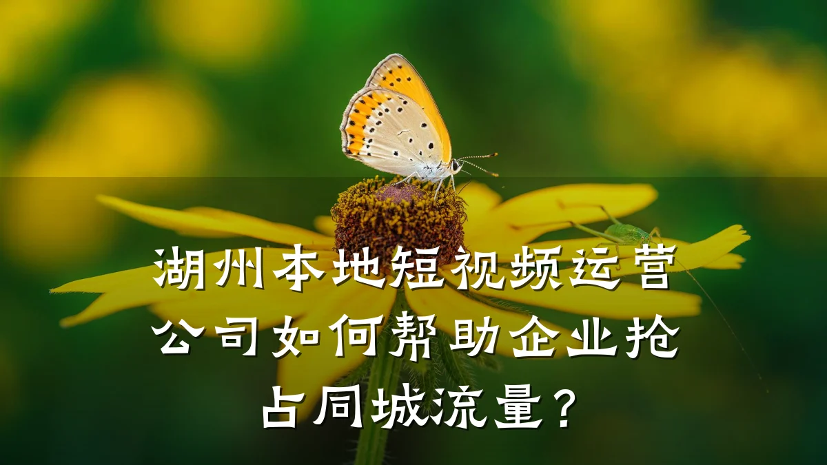 湖州本地短视频运营公司如何帮助企业抢占同城流量?