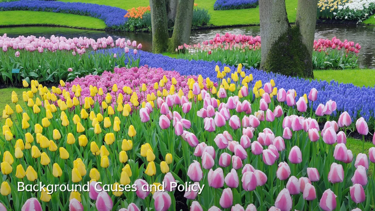 Background Causes and Policy