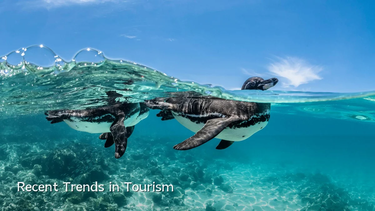 Recent Trends in Tourism