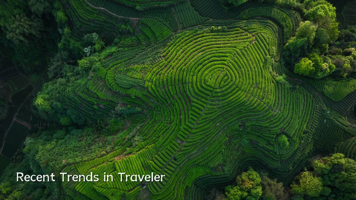 Recent Trends in Traveler