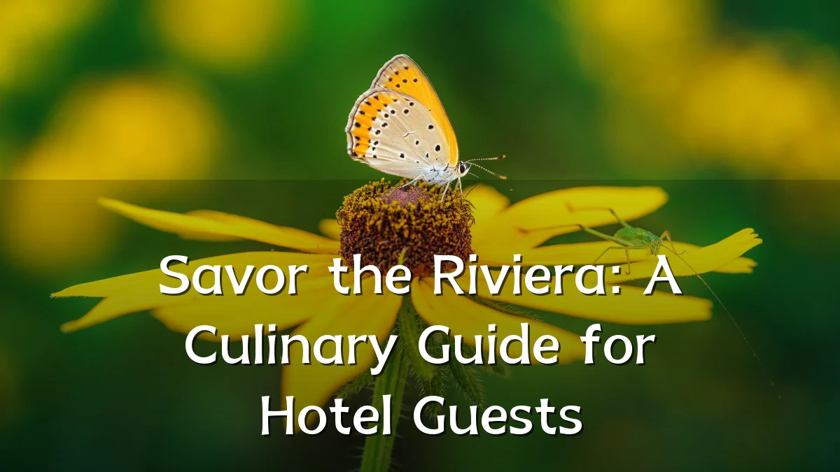Savor the Riviera: A Culinary Guide for Hotel Guests