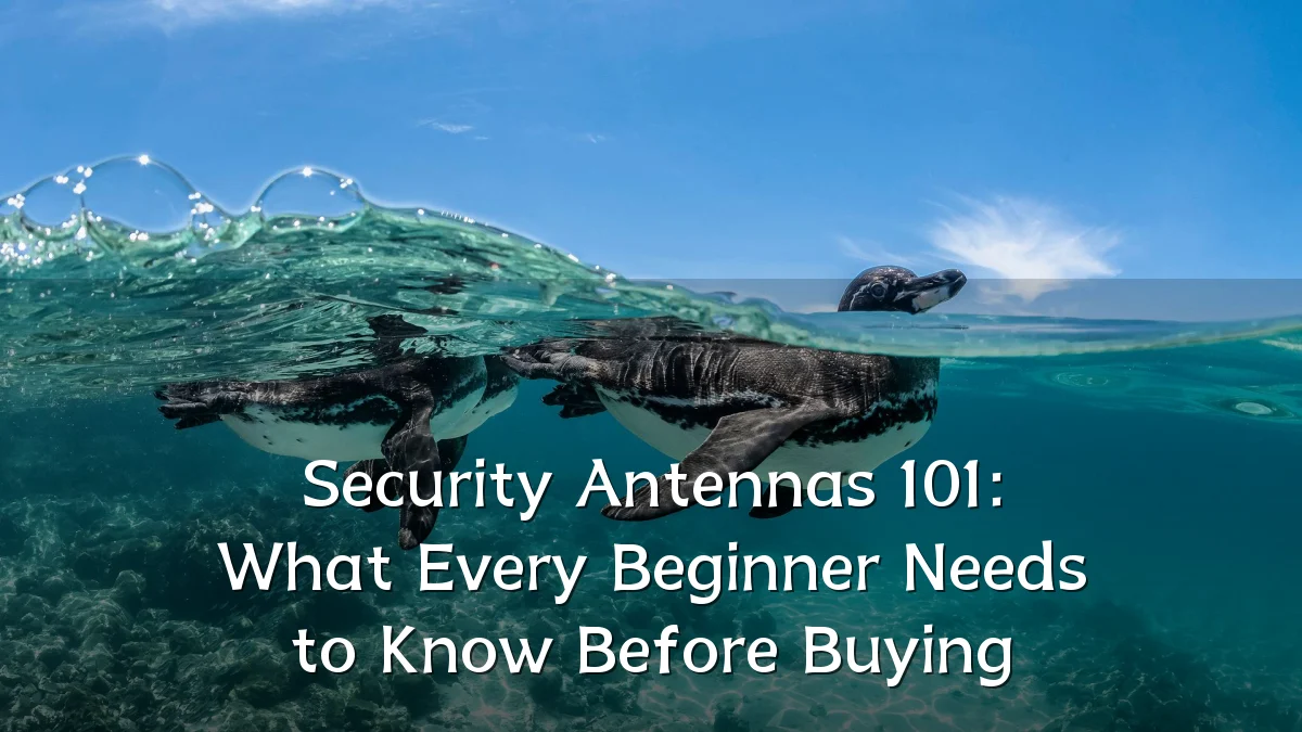 Security Antennas 101: What Every Beginner Needs to Know Before Buying