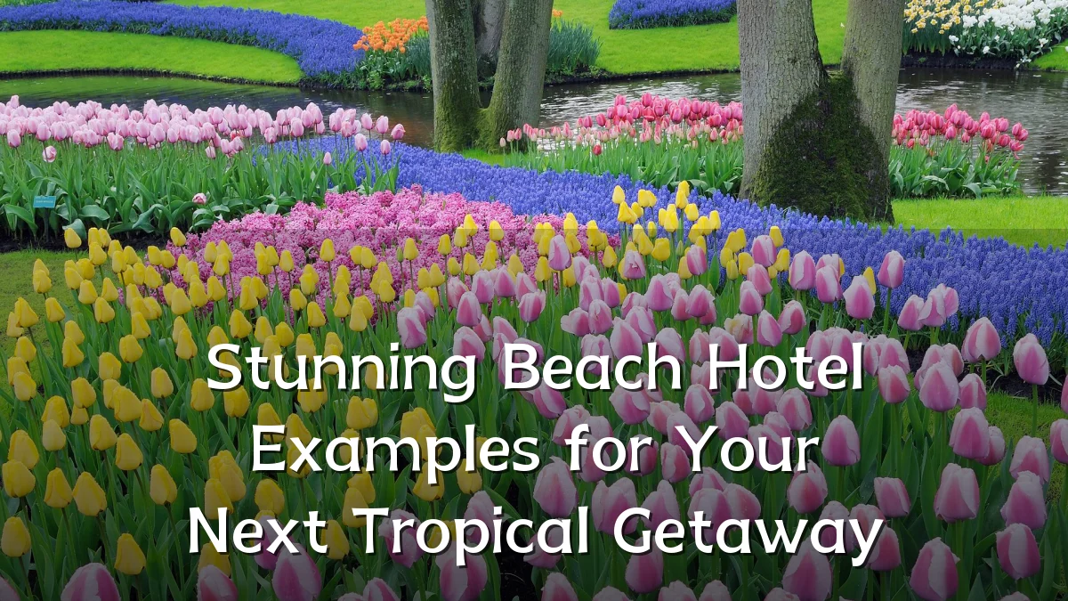 Stunning Beach Hotel Examples for Your Next Tropical Getaway