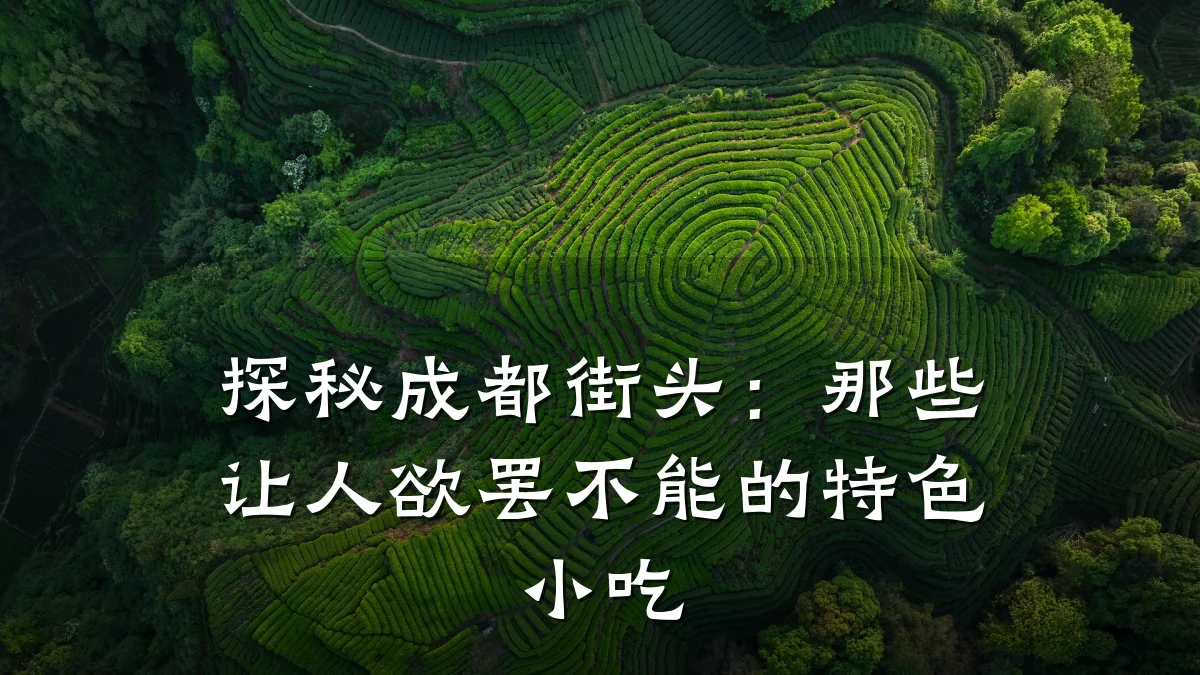 探秘成都街头:那些让人欲罢不能的特色小吃