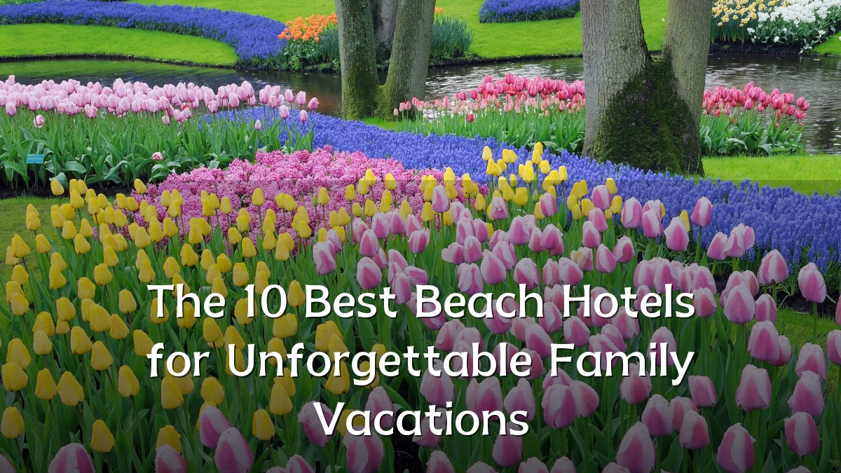 The 10 Best Beach Hotels for Unforgettable Family Vacations