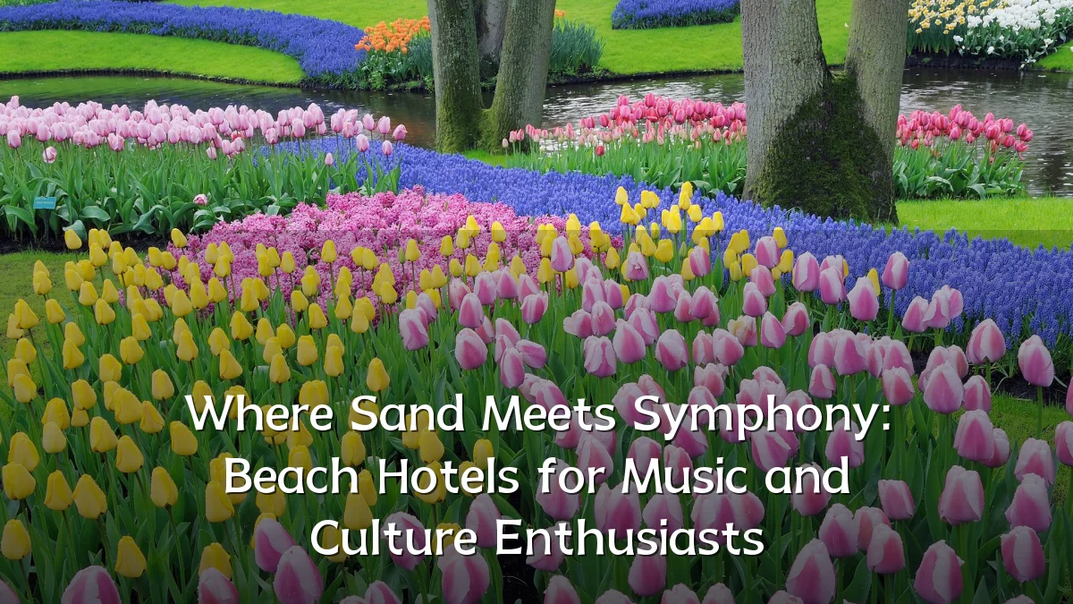 Where Sand Meets Symphony: Beach Hotels for Music and Culture Enthusiasts