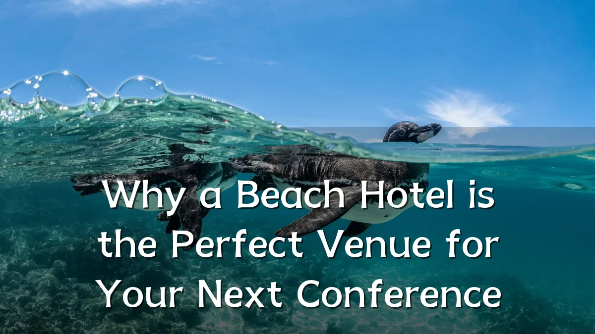 Why a Beach Hotel is the Perfect Venue for Your Next Conference