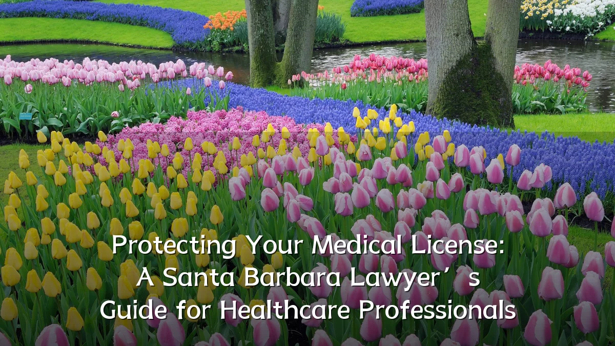 Protecting Your Medical License: A Santa Barbara Lawyer’s Guide for Healthcare Professionals