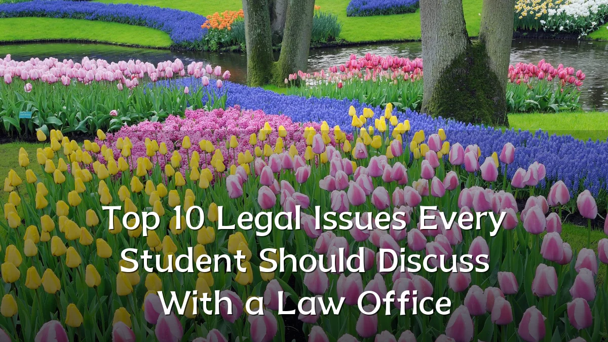 Top 10 Legal Issues Every Student Should Discuss With a Law Office