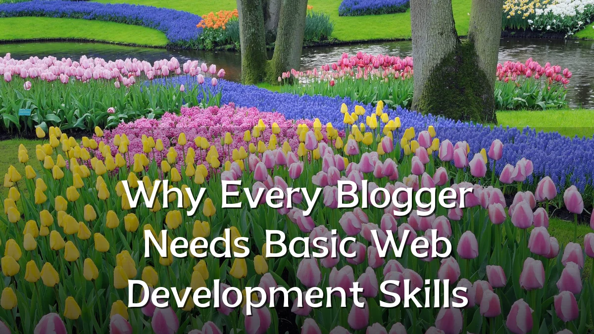 Why Every Blogger Needs Basic Web Development Skills