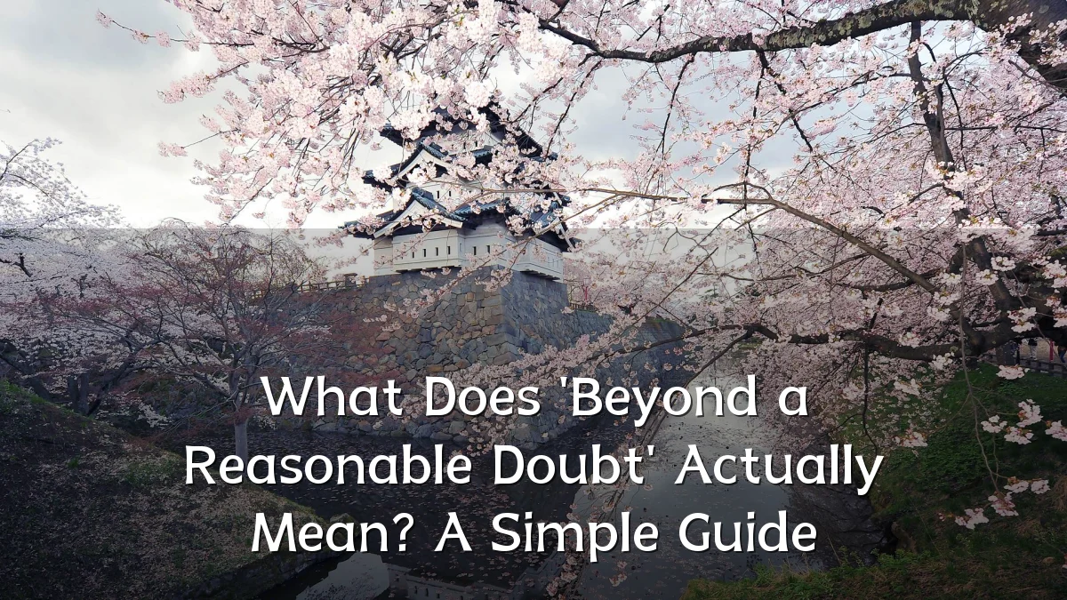 What Does 'Beyond a Reasonable Doubt' Actually Mean? A Simple Guide